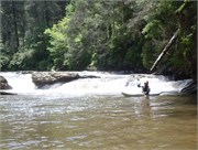 SpringCreek 17